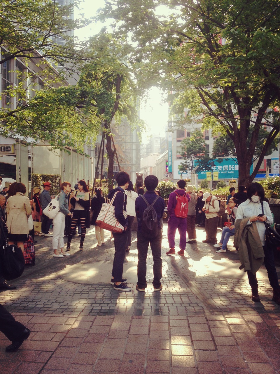 shibuya.jpeg